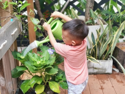 SỰ PHÁT TRIỂN NHÂN CÁCH Ở TRẺ EM